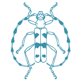 Entomologischer Verein Stuttgart 1869 e.V.