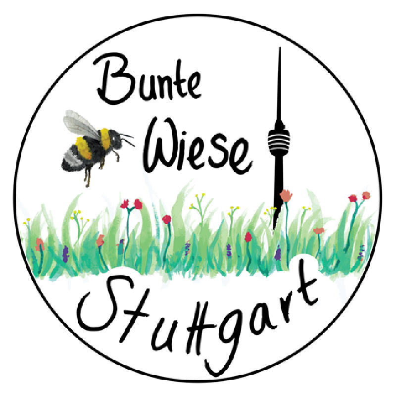Bunte Wiese